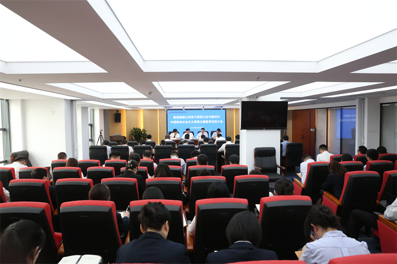 新型能源公司黨委召開學習貫徹習近平新時代中國特色社會主義思想主題教育動員大會