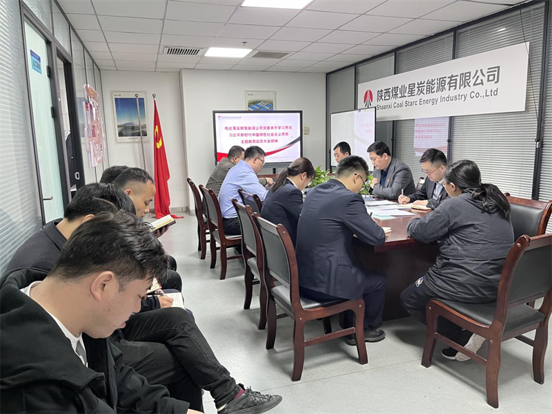 （三）公司所屬各單位迅速傳達學習新型能源公司主題教育動員會精神