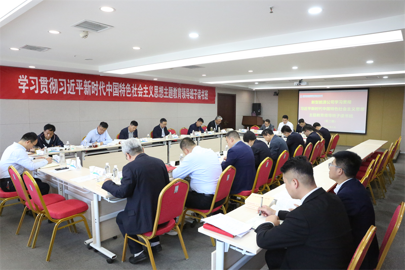 新型能源公司黨委舉辦學習貫徹習近平新時代中國特色社會主義思想主題教育第二期讀書班