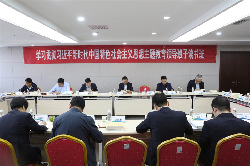 新型能源公司黨委舉辦學習貫徹習近平新時代中國特色社會主義思想主題教育第二期讀書班