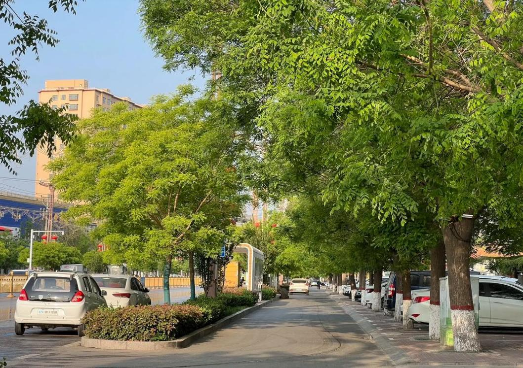 261742955405123108.png 圖片1-3.26.png