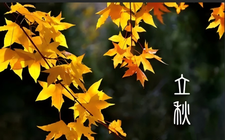 181755506230213352.png WPS圖片(1).png