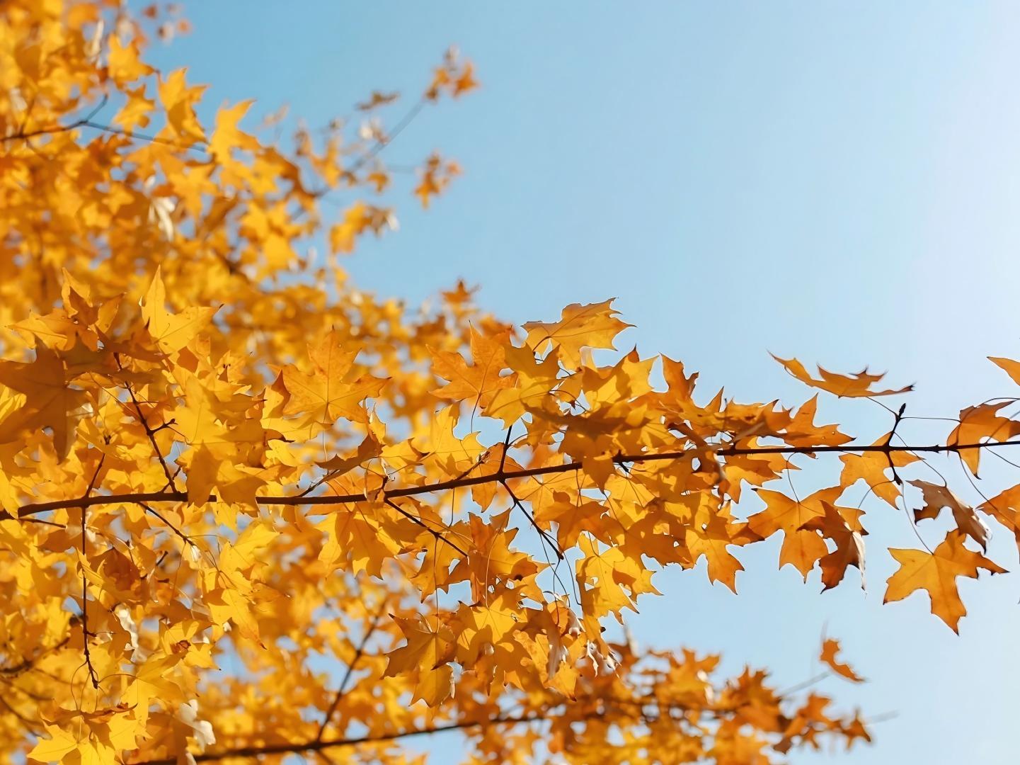 181755506868167899.jpg 002.jpg