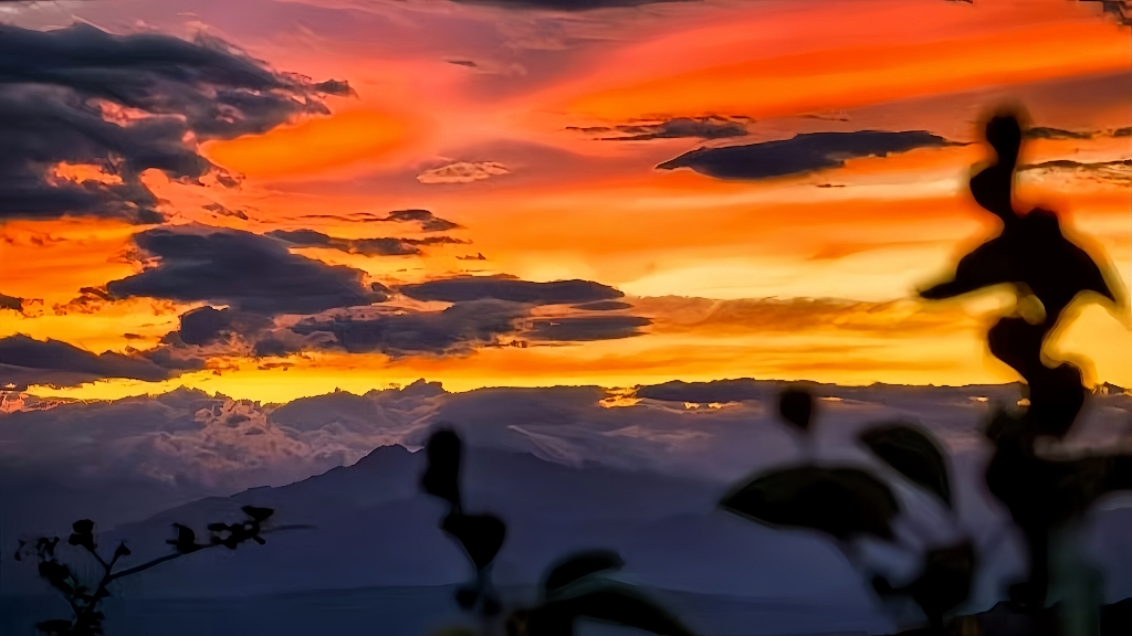 091757399954132245.png 圖片7.png